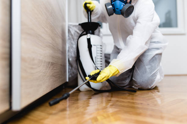 Best Local Pest Control Services  in Pocono Woodland Lakes, PA