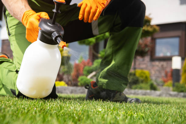 Best Bird Control  in Pocono Woodland Lakes, PA