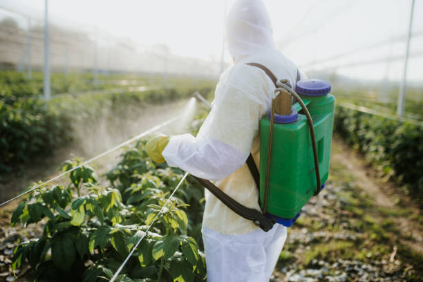 Trusted Pocono Woodland Lakes, PA Pest Control Experts